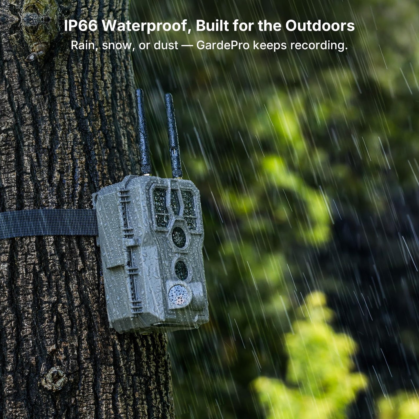 GardePro E8 2.0 WiFi Trail Camera (Non-Cellular) with 5200mAh Battery Solar Panel, 4K Video & 64MP Photo, 64GB SD Card, Dual Antennas, Stable Connection, On-Site App Viewing, Motion Activiated