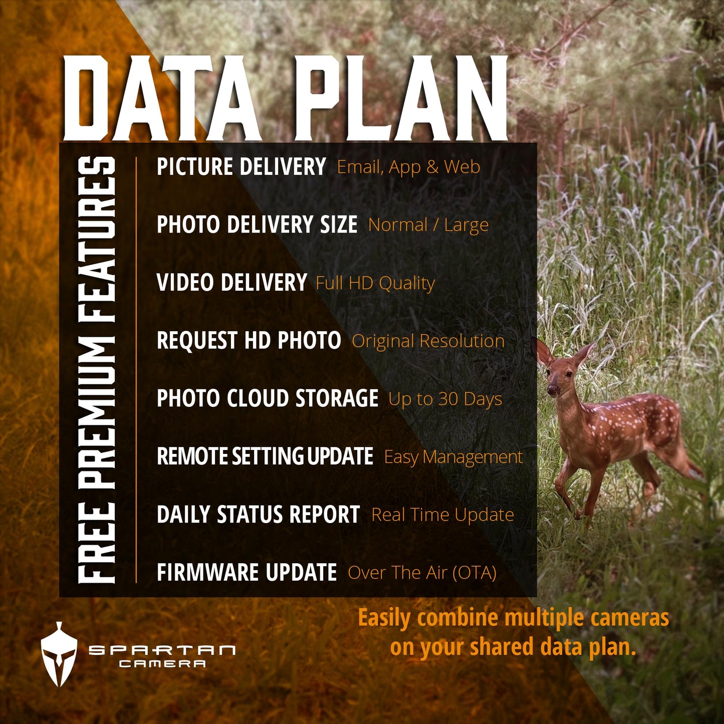 Spartan Camera GoCam2 Cellular Trail Camera Bundle – Security Box & 32GB Full-size SD Card Included,FHD Photo Capture,1080P Video,No-Glow IR Night Vision,Water Resistant (Spartan Areus, Multi-carrier)