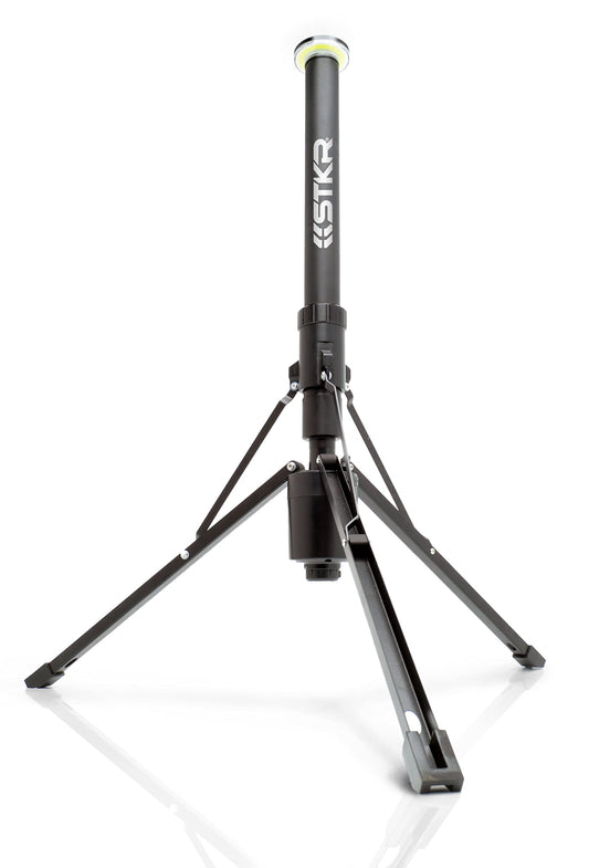 FLI Over-Lander Telescoping Area Light - 10 Foot extention