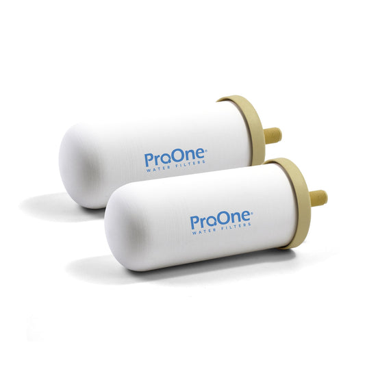 ProOne G-Series 5-Inch Gravity Water Replacement Filter, Traveler+, Big+, and Big II Replacement Water Filter for Countertop Gravity Filtration Systems, Independently Tested Proven to Reduce PFAS