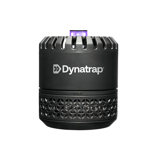DynaTrap DT152 Indoor Insect Trap and Killer – Catches and Kills Gnats, Flies, Moths & Other Flying Insects (Pack of 6)