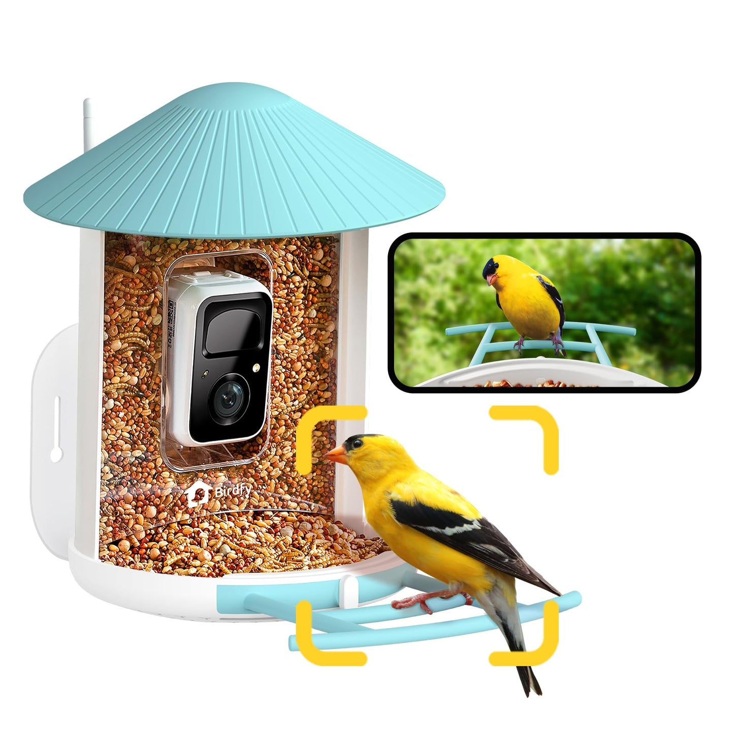 NETVUE by Birdfy Smart Bird Feeder with Camera – AI Identifies Birds Species 2MP Night Vision & App Alerts, 2.4Ghz Wi-Fi Connect IP65 Weatherproof Bird Camera-Gift for Backyard BirdWatchers, Blue