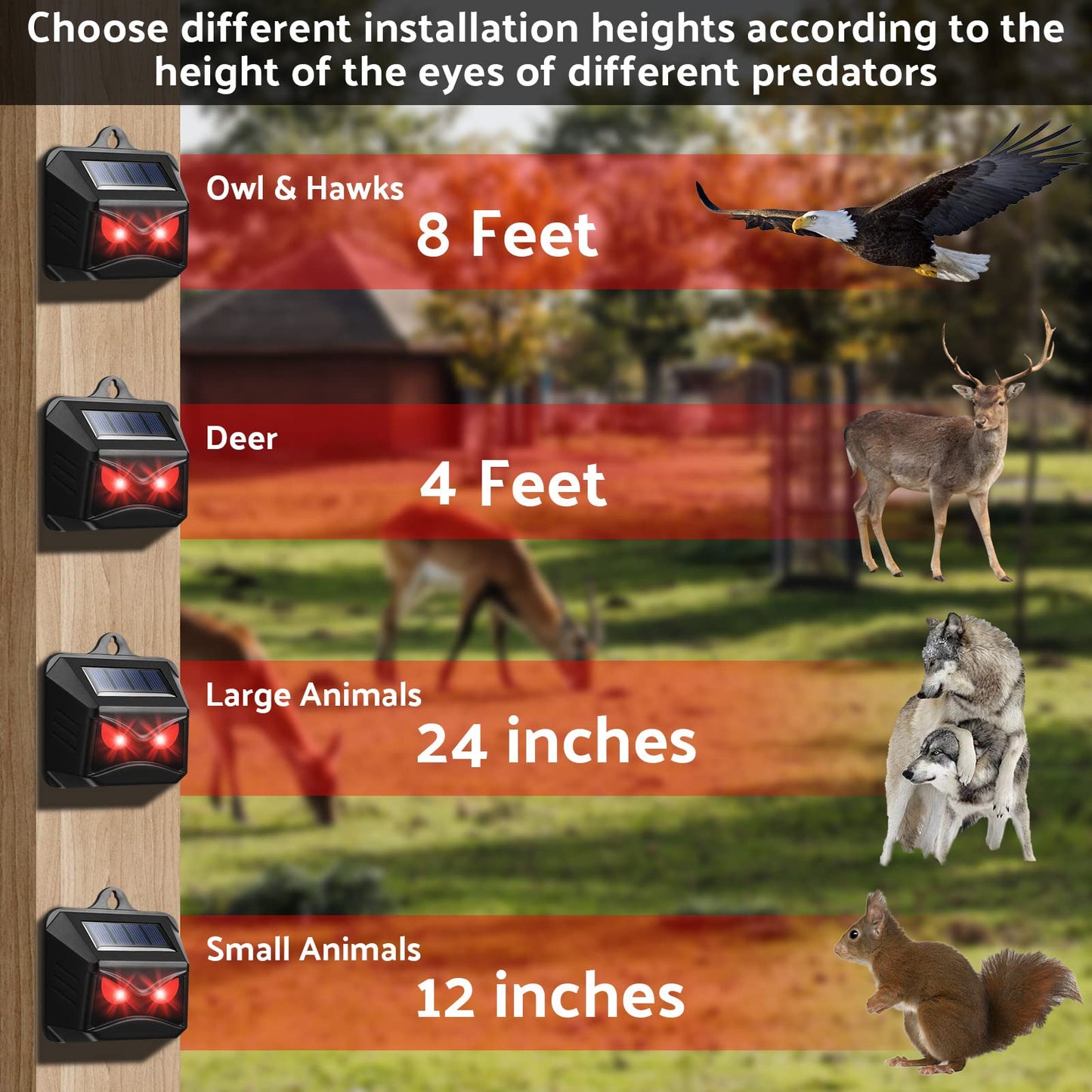 Kittmip Solar Control Light Nocturnal Animal Repeller Outdoor Deterrent Devices Light Sensor Animal Repellent for Skunk Deer Coyote Fox Raccoon Cat Garden Yard Farm Chicken Coop (18, Black)