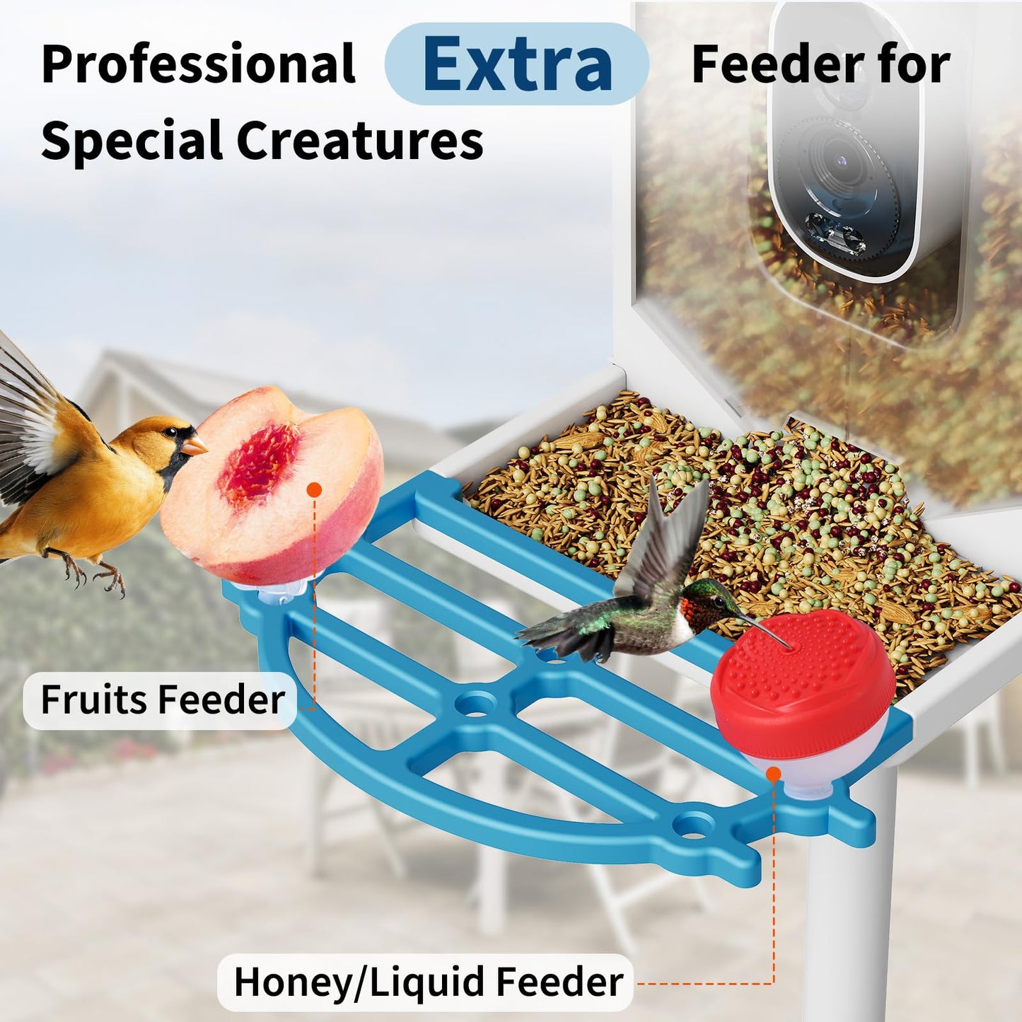 Smart Bird Feeder with Camera, 4K Ultra HD Live Video Wild Bird House with AI Recognition of 8000+ Species,Solar Powered Wireless Bird Camera,Squirrel Deterrent,Auto Capture,Ideal Gift for Bird Lovers