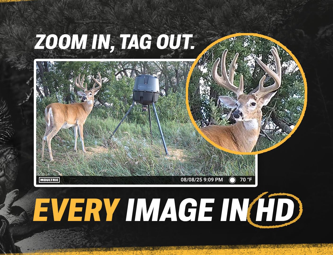 Moultrie Edge 2 Pro Cellular Trail Camera - Auto Connect Nationwide 4G LTE - On Demand 40MP Photo - 1440P Video with HD Audio - Ai False Trigger Elimination - 100 Ft Detection Range - No-Glow Flash