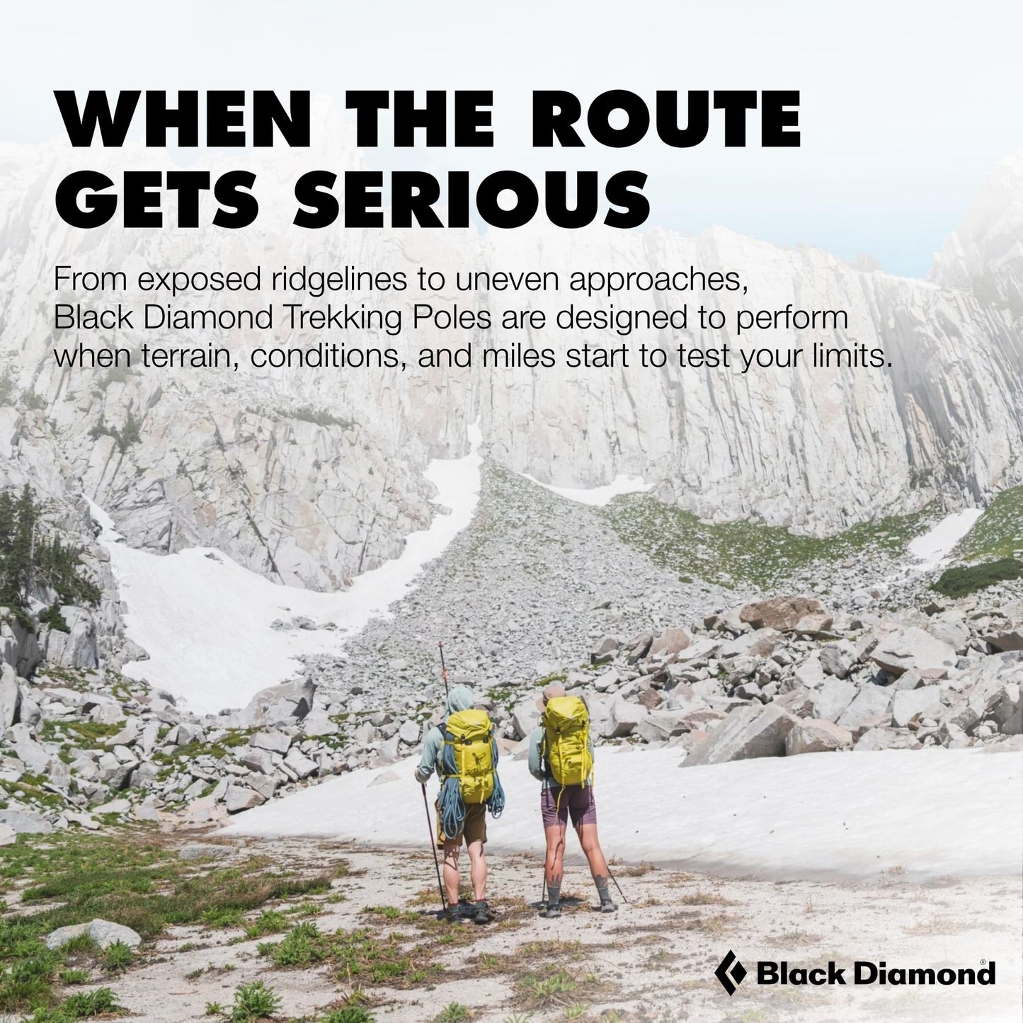 BLACK DIAMOND Pursuit Trekking Poles (Pair) | Natural Cork Grips | FlickLock Adjustable Aluminum Shafts | for Hiking & Backpacking | Charcoal-Foam Green | Medium/Large