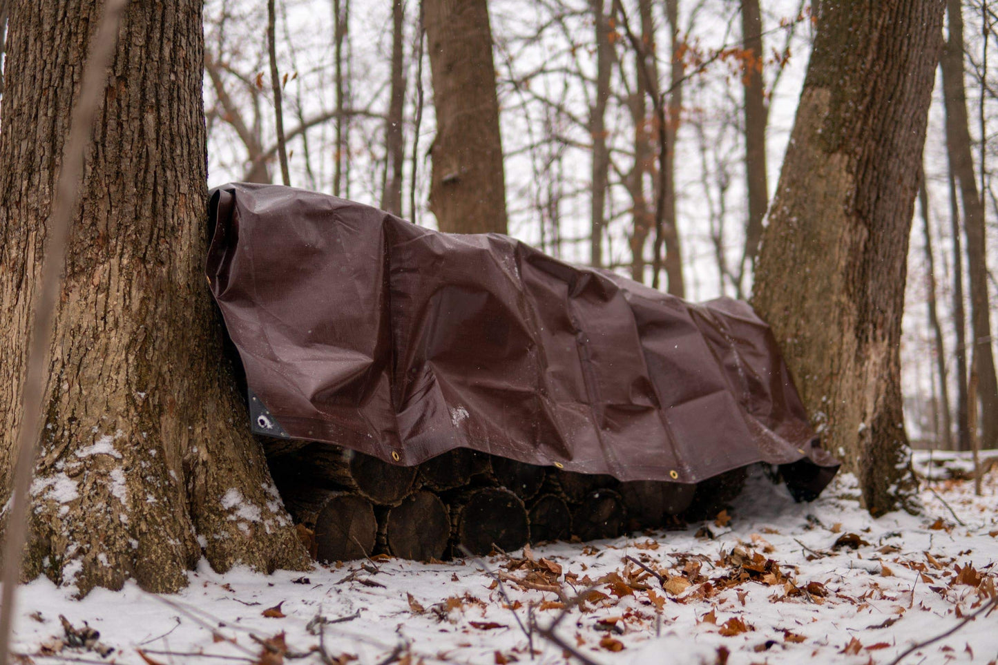 WHITEDUCK Super Heavy Duty Poly Tarp Cover 16 Mil & 10 Mil with Grommets and Reinforced Edges (Brown, White & Silver Black) (Brown- 16 Mil, 40' x 60')