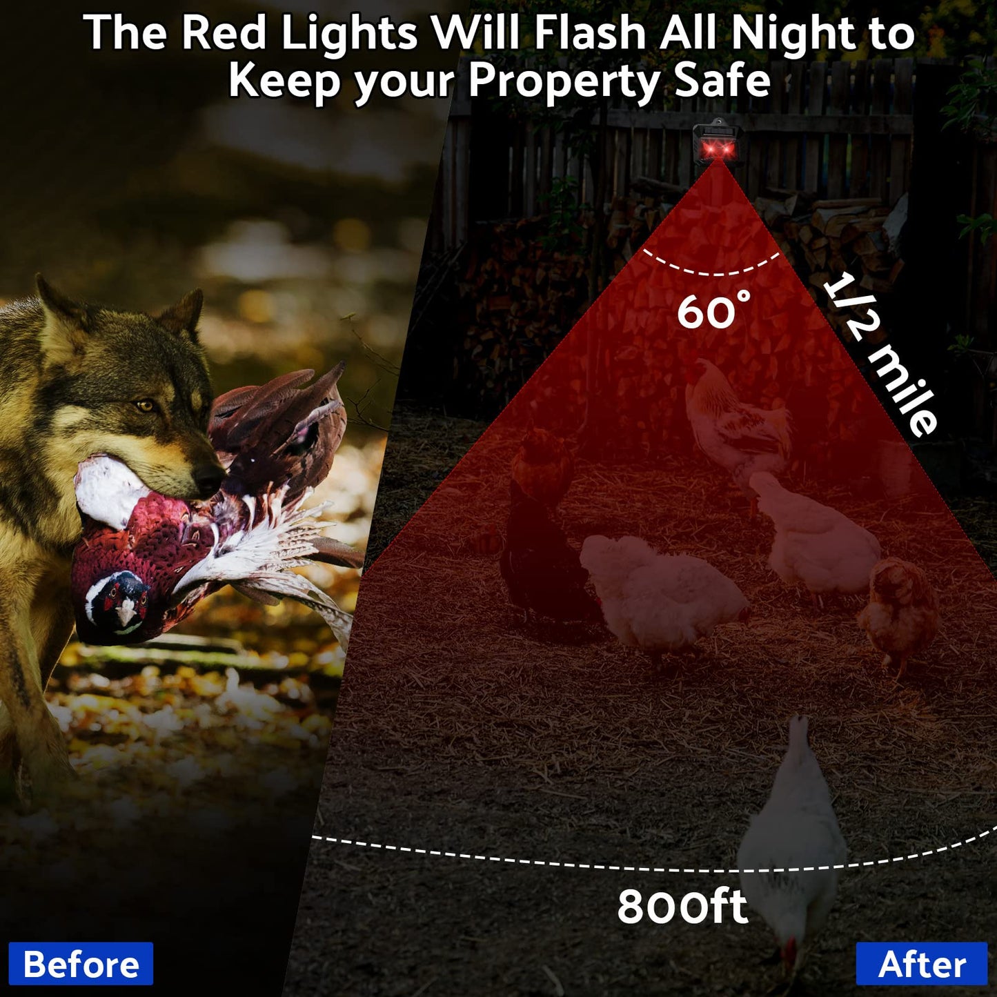 Kittmip Solar Control Light Nocturnal Animal Repeller Outdoor Deterrent Devices Light Sensor Animal Repellent for Skunk Deer Coyote Fox Raccoon Cat Garden Yard Farm Chicken Coop (18, Black)