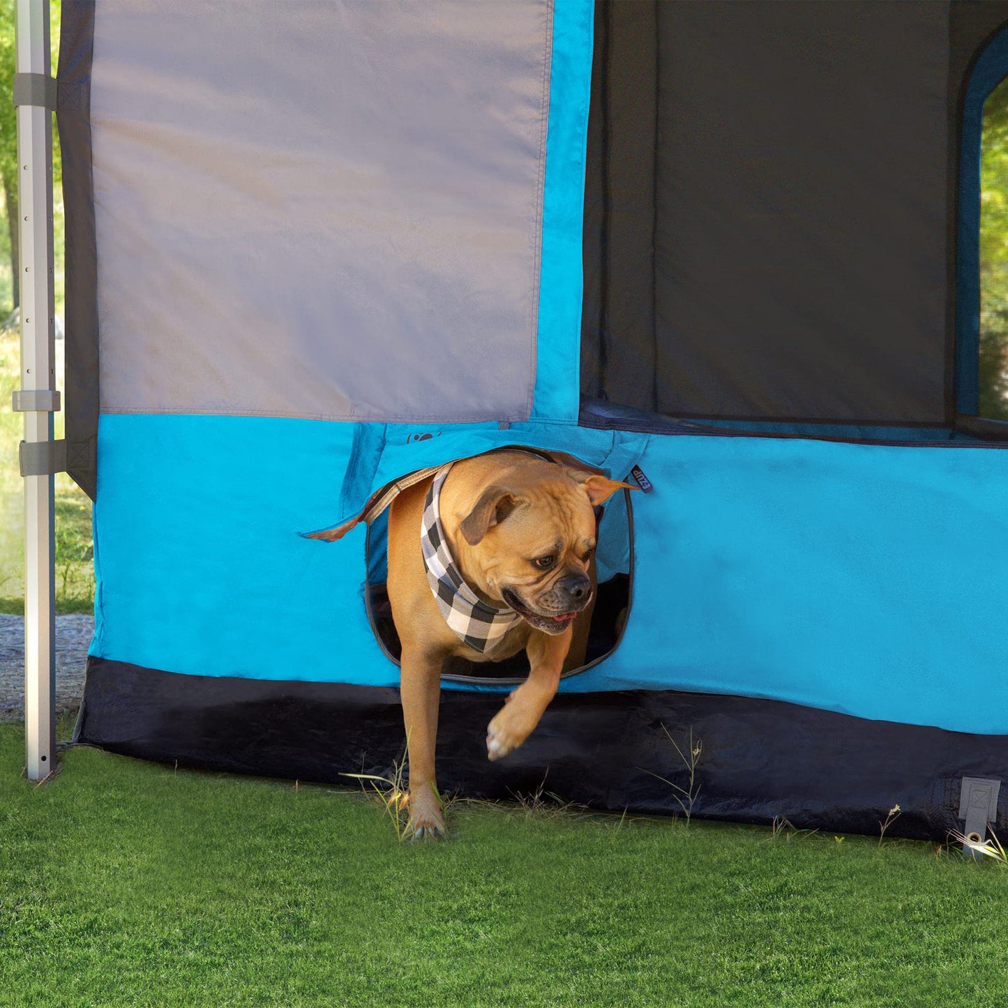 E-Z UP Camping Cube 6.4, Converts 10' Straight Leg Canopy into Camping Tent (Canopy/SHELTER NOT Included), Splash