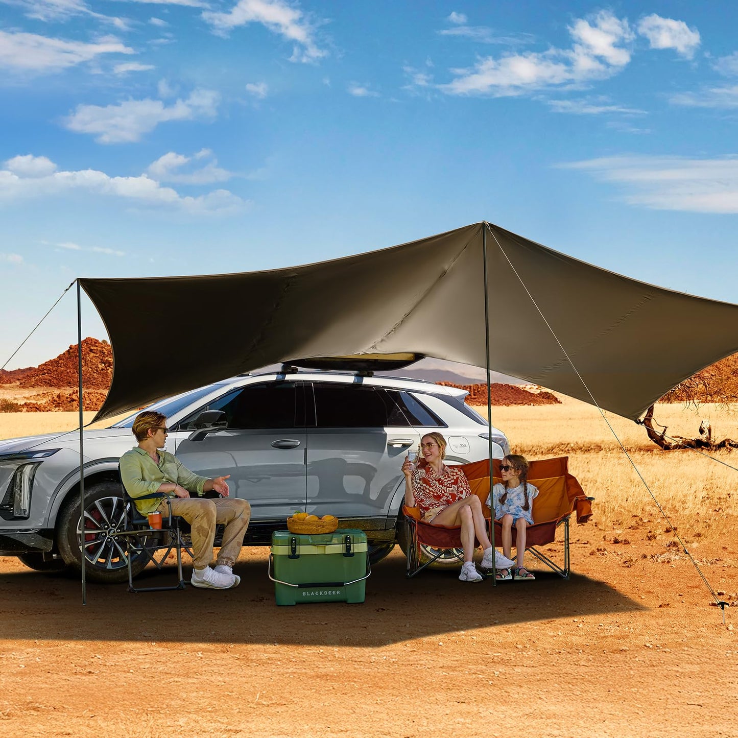 TIMBER RIDGE 19x9.8ft Retractable Car Awning with Blackout Coating, 186ft² Roof Rack Pull-Out Sun Shade Overland Camping, UPF50+ Waterproof Sun Shelter for Vehicle/Truck/Jeep/SUV/Van Grey