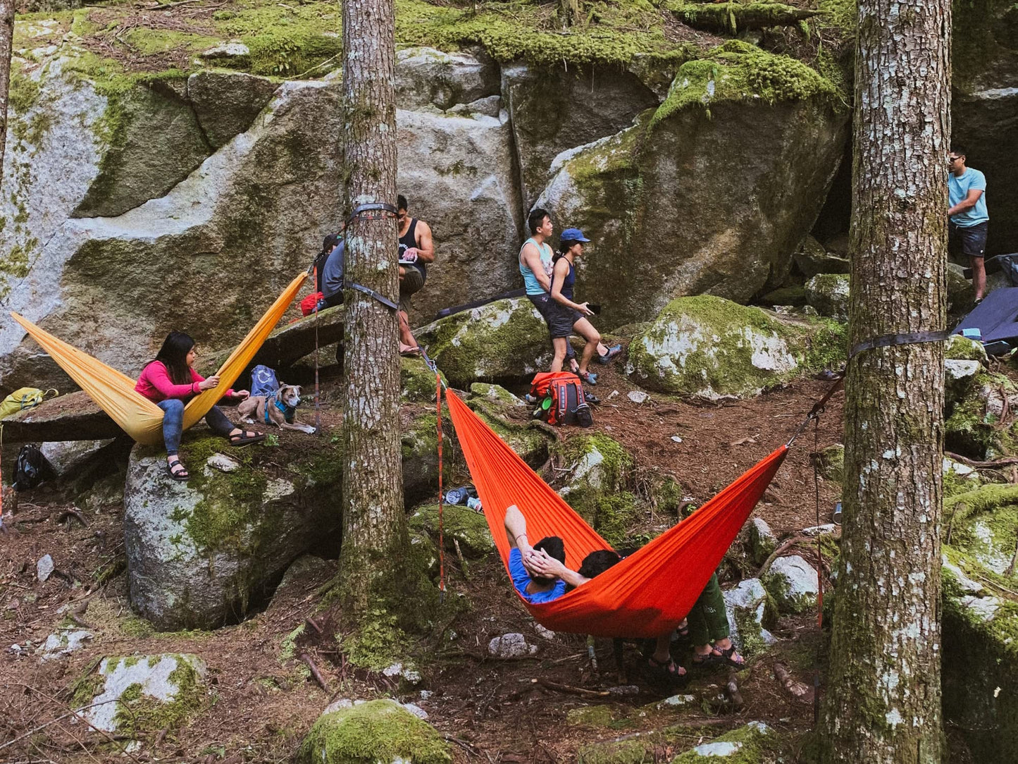 Kammok: Roo Double Hammock +Python 10' Bundle | Our Bestselling Hammock & Tree Friendly Straps | 100% Recycled Water Resistant Ripstop Fabric | Lifetime Adventure Grade Warranty, Midnight Blue